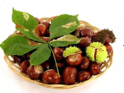 花音栗子黑料吃瓜,吃瓜群众热议娱乐圈风云